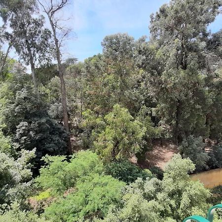 Forest View Lisbon Exterior photo